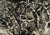 jim creal art